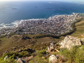 Sea Point from the top of Lion's Head